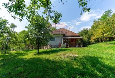 Casă / Vilă cu 3 camere de vânzare - 42