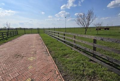 Teren de 60000 mp, în Stoenești - 9