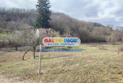 Teren în Răzvad - 3