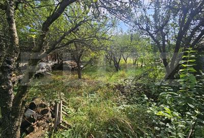 Casă individuală cu 4 camere cu Canalizare în Borhanci - 6