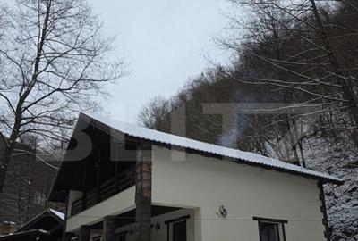 Casă cu 7 camere cu Teren 1500 Mp în Central - 2