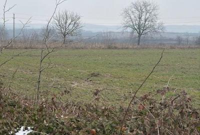 Teren de 9000 mp, în Central - 4