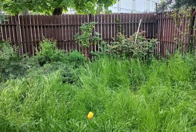 Casă cu 3 camere în Sud - 3