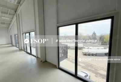Spațiu comercial, de 2,450 mp, în Mogoșoaia - 11