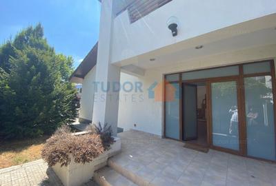 Vila cu piscina Iancu Nicolae - 23