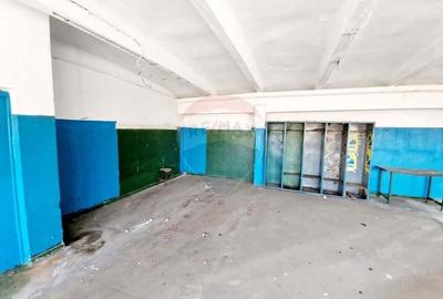 Spa?iu industrial de inchiriat in Parc Industrial Mecanica Ceahlau - 6