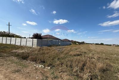 Vand teren intravilan 10.000 mp in Sabareni - 4