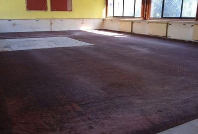 Spațiu comercial, de 650 mp, în Traian - 2