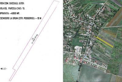 Teren comuna Dascalu tarlaua 65 in suprafata de 4867 m strada Podgoriei