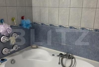 Casa de vanzare, cu 7 camere, 480 mp, zona Bd. Bucovina - 14