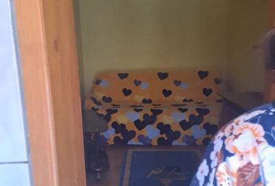 Casă cu 4 camere în Bariera Vâlcii - 7