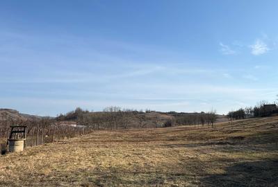 Casă cu 3 camere în Sâncel - 2