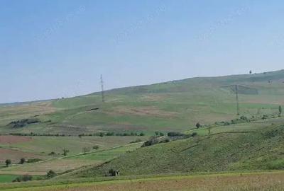 Cota de 1/2 din teren extravilan, comuna Rogova, Jud Mehedinti - 1