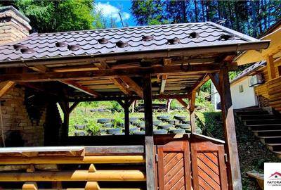 Cabana de Zona Lunca Bradului - 7