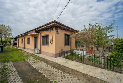 TANTAVA - GRADINARI, CASA 70 MP, LOT - 1557 MP! - 11