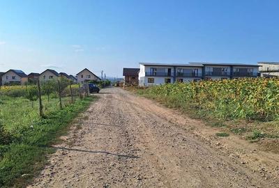 Spațiu comercial, în Valea Lupului - 3