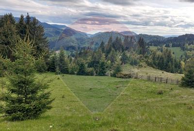 O fereastra catre cer teren de vis in Fundata, la ... - 5