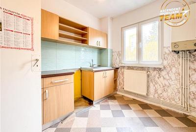 Apartament cu 3 camere semidecomandat, mobilat în Simeria - 15