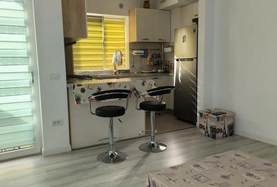 Apartament cu 2 camere decomandat în Aradului - 4