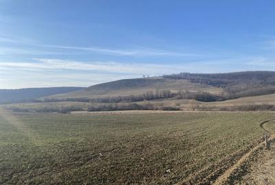 Spațiu comercial, în Hidiș - 9