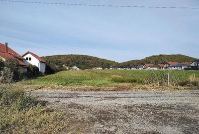 Teren de 4300 mp, în Central - 4