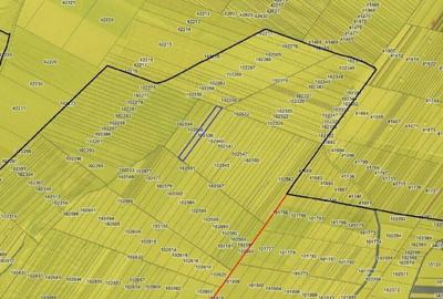 Teren cota parte 1/4, Saraiu, ID: R2684294 - 4