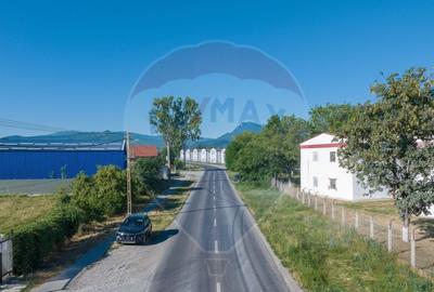 Teren Industrial, 3300 mp, / DJ 112D, Carpinis - 8