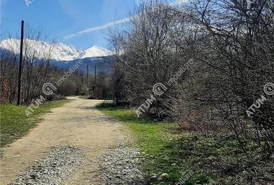 Teren Construcții extravilan de 6650 mp, în Central