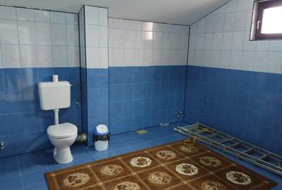 Casă individuală cu 5 camere cu Canalizare în Valu lui Traian - 16