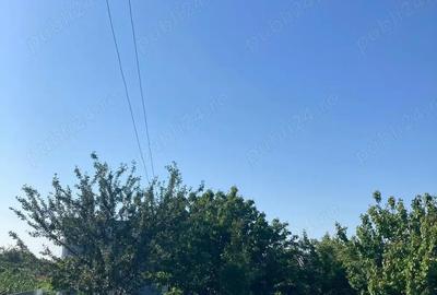 Casă cu 4 camere în Murighiol - 10