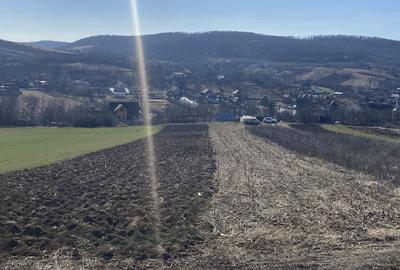 Teren de 2200 mp, în Bădeni - 3