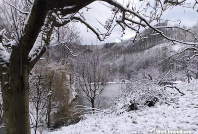 Casa de vacanta, cu lac, 5640 mp teren, Huta, com. Chiuiesti, jud. Cluj Casa de vacanta, cu lac, 5640 mp teren, Huta, com. Chiuiesti, jud. Cluj - 48