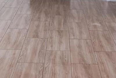 Chelinta, casa caramida, 1,2 ha teren - 11