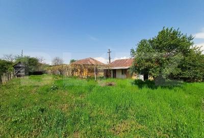 Teren de vanzare, 7300 mp, zona Danesti - 2