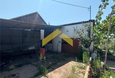 Casa la sol de vanzare Zimandu Nou - 6