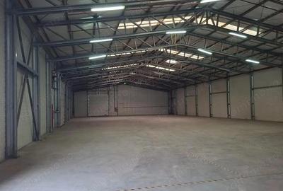 Spațiu comercial, de 650 mp, în Ștefăneștii de Jos - 3