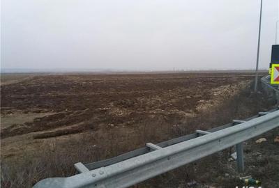 Teren de 48000 mp, în Păulești