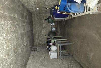 CASA 3 CAMERE + LIVING | 1790 MP TEREN | SAT RAPA | BIHOR - 32