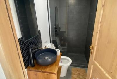 Casă cu 1 camere în Măguri - 9