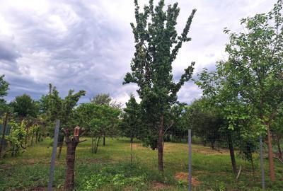 Casă cu 3 camere în Nădab - 2