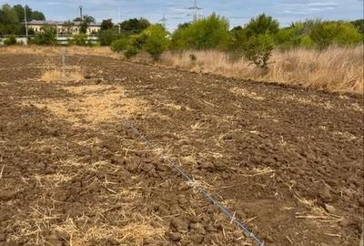 Spațiu comercial, în Central - 2