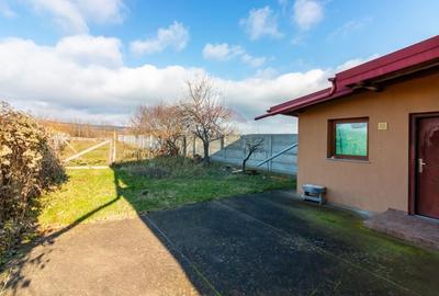 Casă individuală cu 5 camere cu Teren 2305 Mp în Pleașa - 27