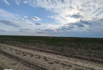 Teren de 300 mp, în Vărăști - 2