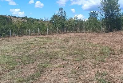 Terenuri cu suprafete intre 500 si 1500 mp in Baicoi, zona Liliesti. - 8