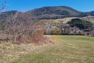 Teren intravilan de 4.000 mp în Bistrița – Alexandru cel Bun - 14