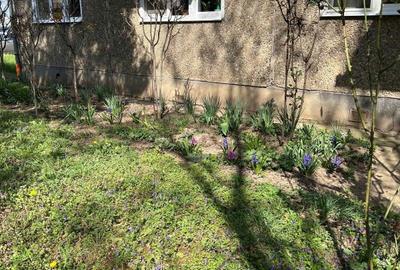 Apartament cu 2 camere semidecomandat în Rogerius - 1