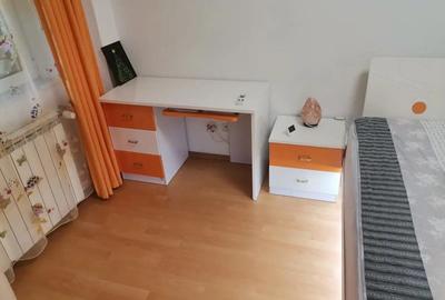 Apartament cu 3 camere decomandat în Ostroveni - 9