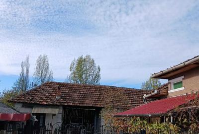 Casă cu 3 camere în Valea Mare de Criș - 1