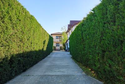 Casă individuală cu 5 camere cu Teren 500 Mp în Săbăreni - 34