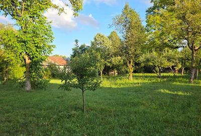 Teren de 2500 mp, în Central - 2